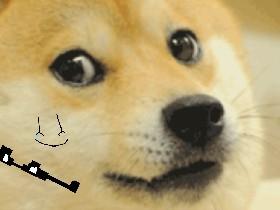 Chat with Mr. Doge 1