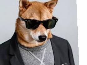 my cool doge