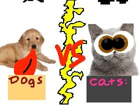 Dogs vs Cats!!🐈🐕 1