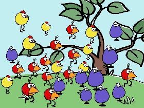 bird army!!!;)