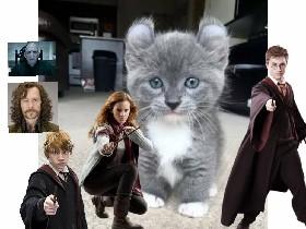 Harry Potter likes cats