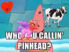 who are you Callin pinhead