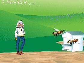 Beekeeper math 2