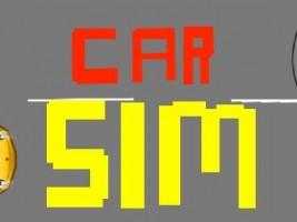 Car Sim RELEASED 2