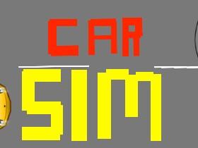 Car Sim RELEASED 1 1