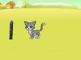 A Pet Game 1