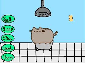 My Pet Pusheen