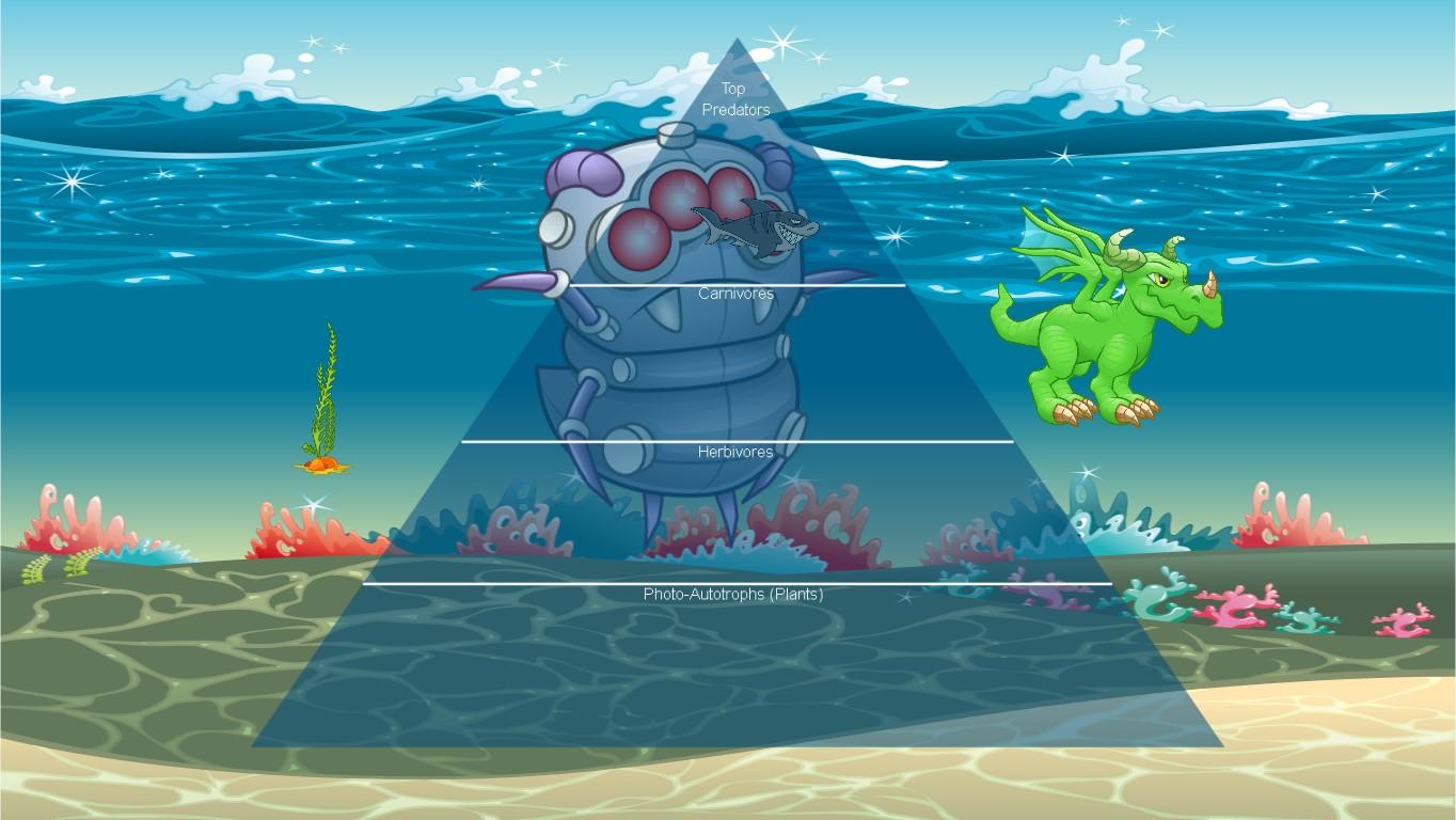 Ocean Ecological Pyramid