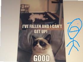 Grumpy cat