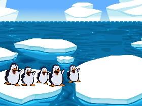 cool penguins