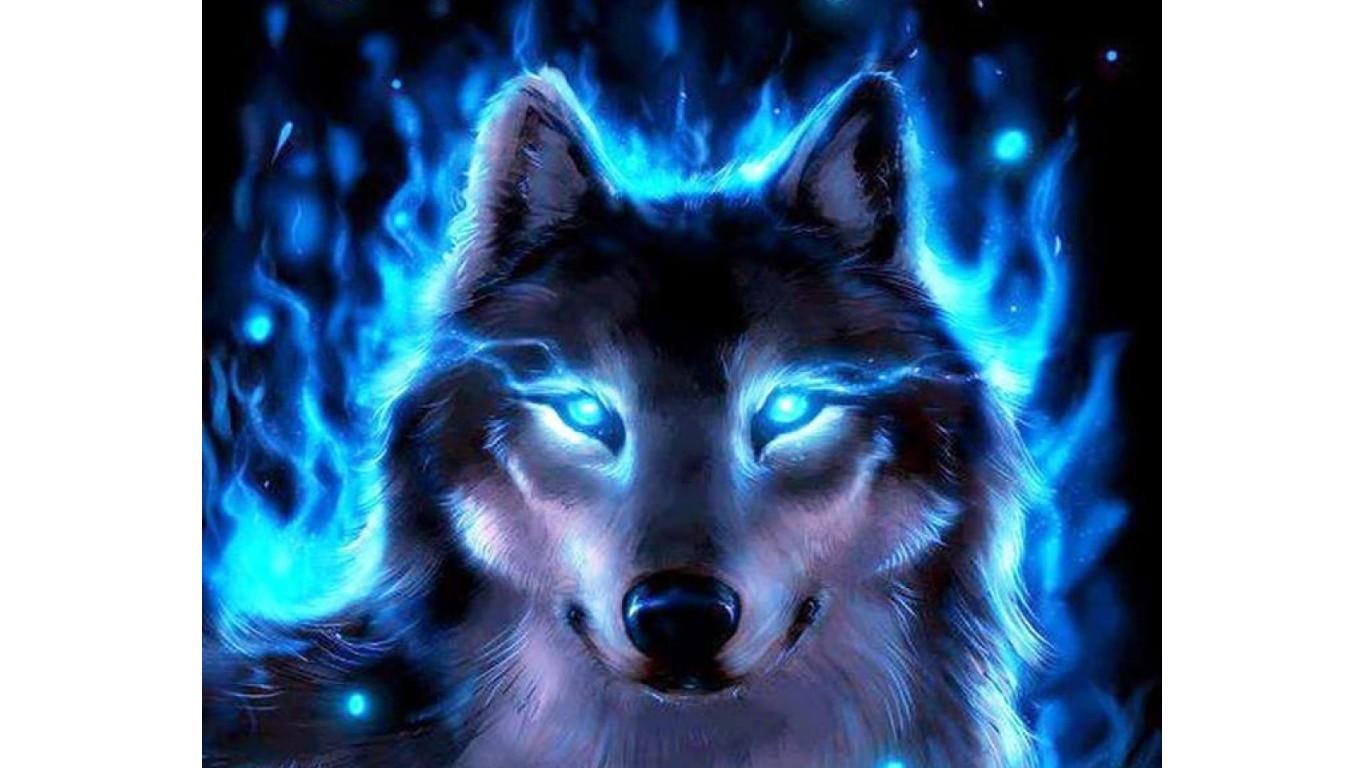 cool blue fire wolf