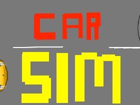 Car Sim RELEASED 1