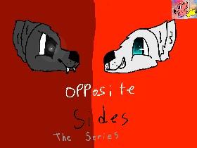 Opposite Sides the series