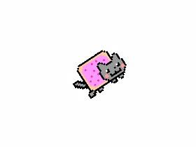 nyan cat spin art 1