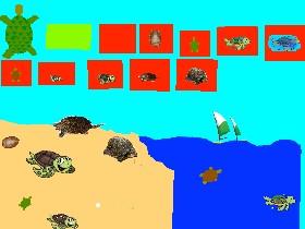 Turtle Clicker! 1