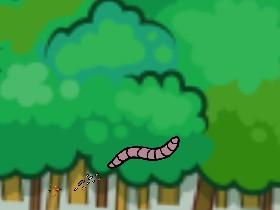 fly fly worm fly