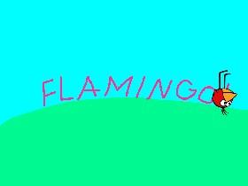 Flamingo