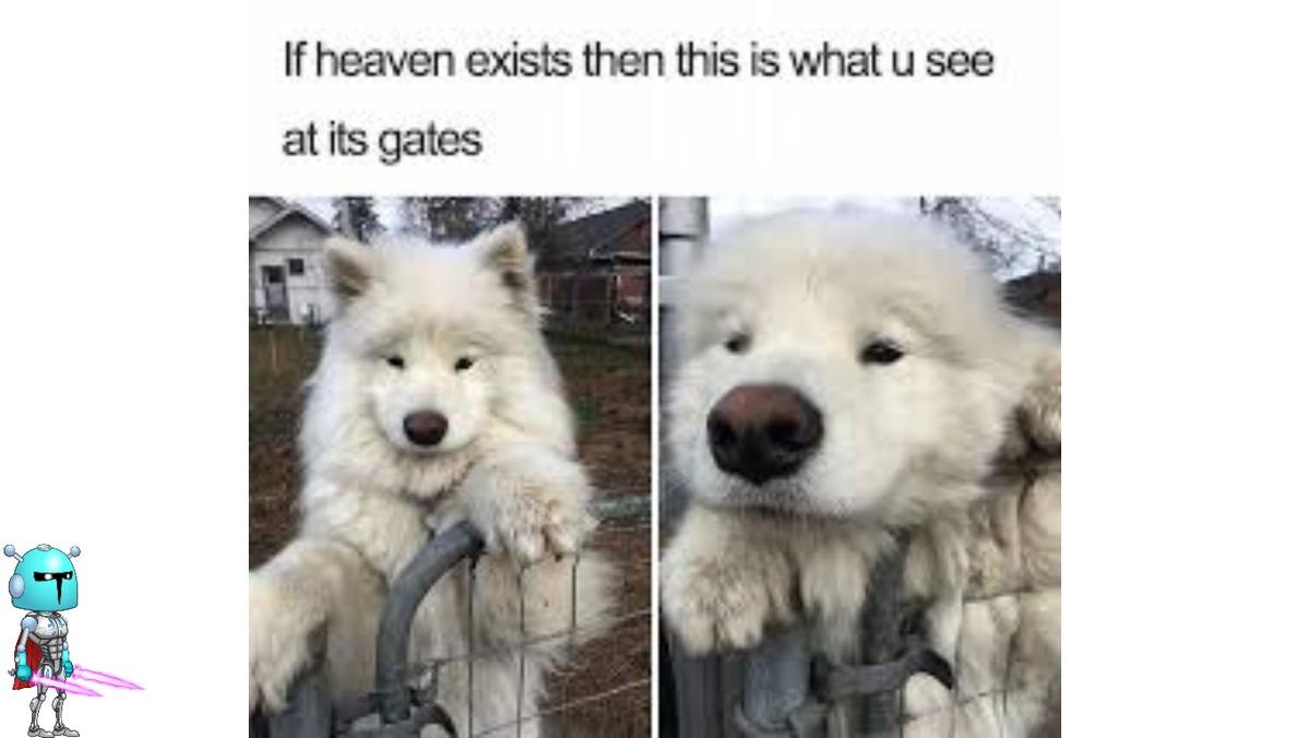 take me to heaven