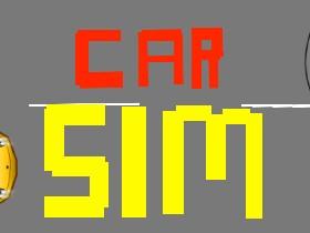 Car Simulater 1