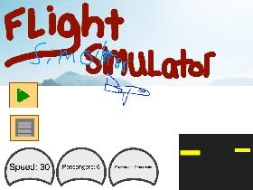 Flight Simulator 1