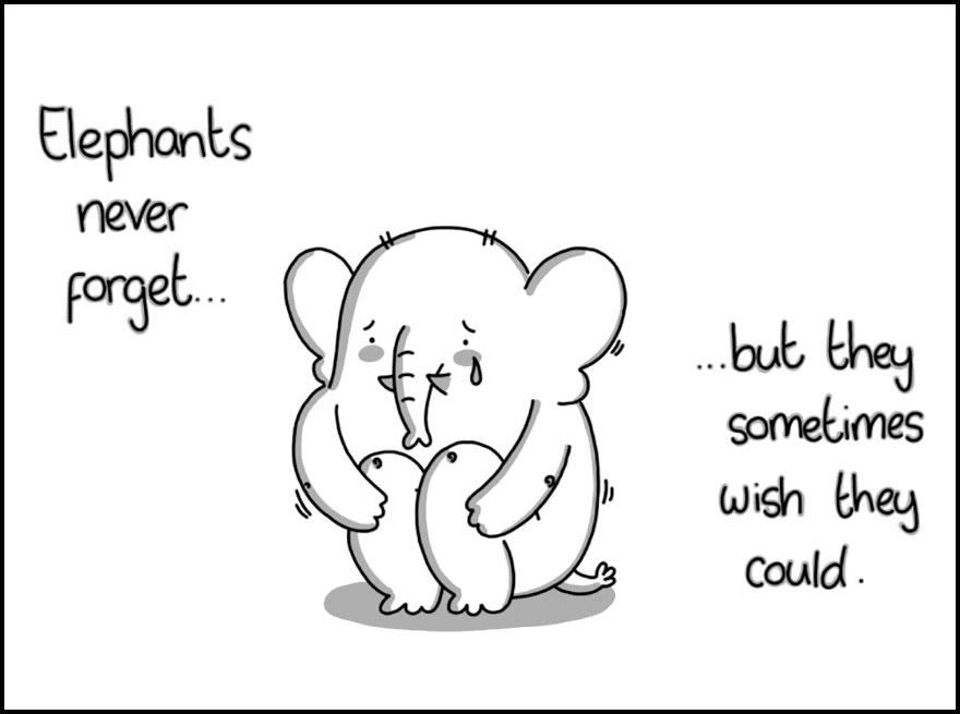 Poor elephant