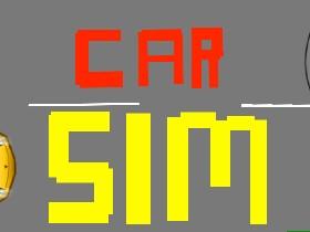 Car Sim RELEASED 1