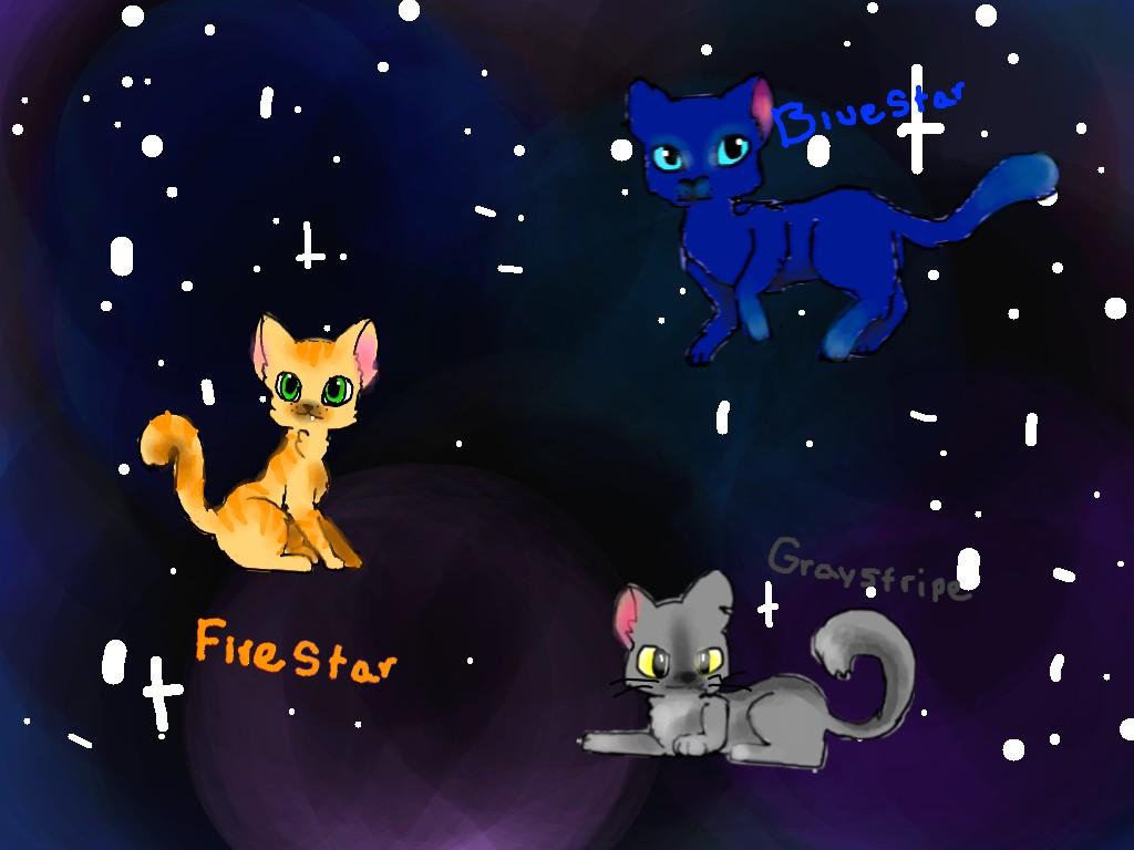 WARRIOR cat speed draw