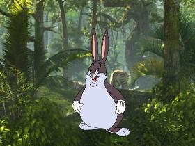 Big chungus Hunting 1