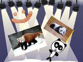 Make pandas dance