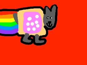 Nyan cat