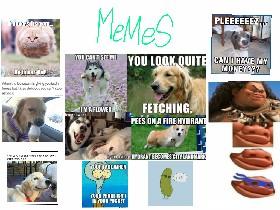 MEMES(jwpms)