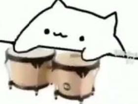 Bongo Cat Meme