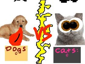 Dogs vs Cats!!🐈🐕 1