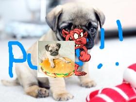 pug clicker bounce 1