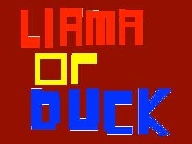 Llama or Duck? (messed up)