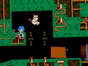 Sonic The Hedgehog 1 1