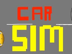 Car Sim RELEASED 1 1