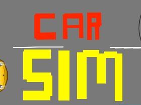 Car Sim Relays 1