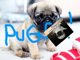 pug clicker bounce 2