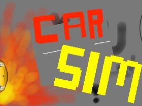 Car Sim RELEASED 1 1