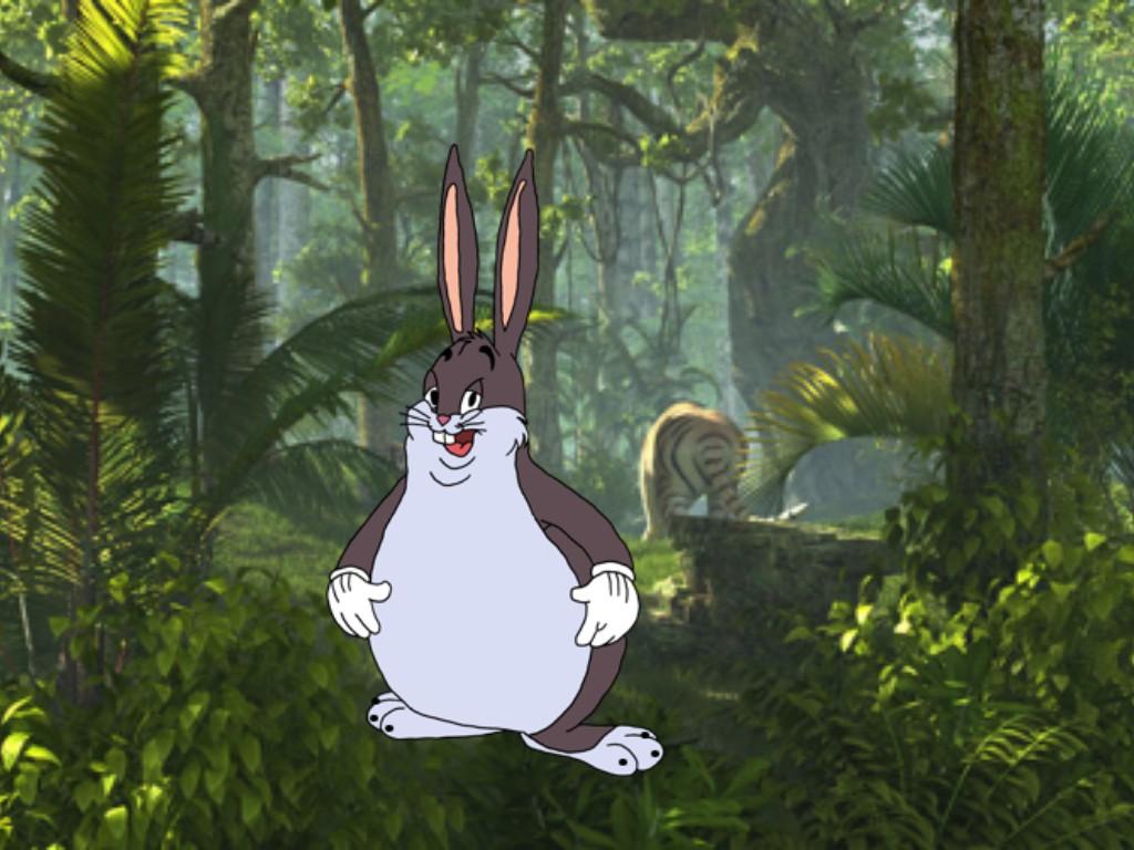 Big chungus Hunting