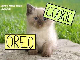 Talk To Oreo Or Cookie 1