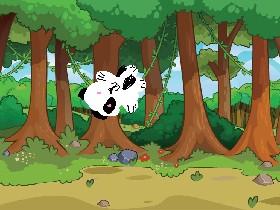 Panda Run