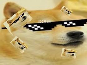 DoGe LiFe 