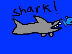 Shark Game