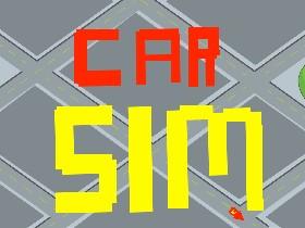 Car Sim RELEASED