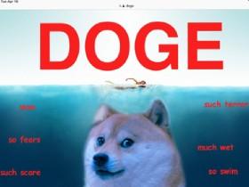 DOGE