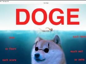 DOGE