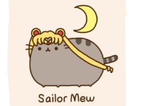 Pusheen as Sailor Moon