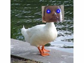 goose man